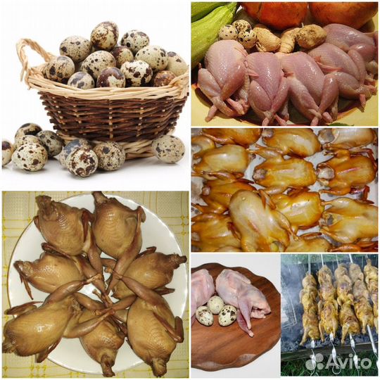 Мясо перепелов