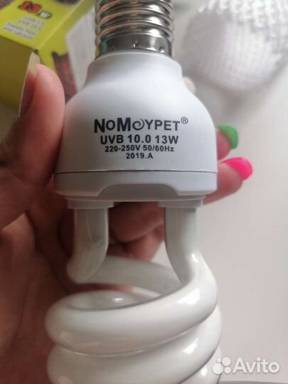 Лампочка и островок для черепах