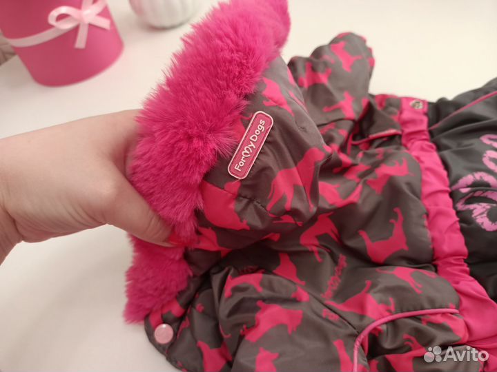 Одежда и обувь для собак