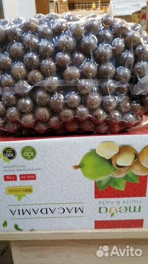 Макадамия в скорлупе 5А