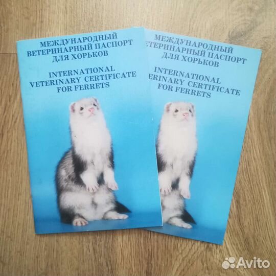 Международный ветеринарный паспорт хорька/фретки