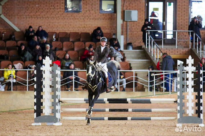 Лошадь в детский спорт