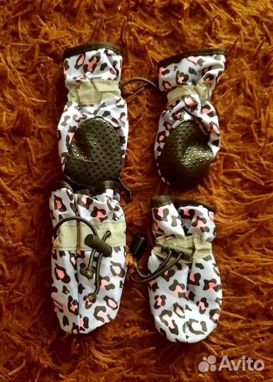 Одежда для маленьких пород