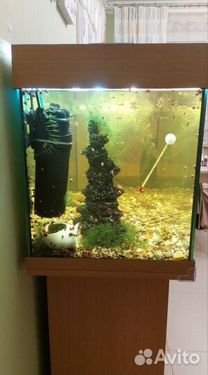Аквариум