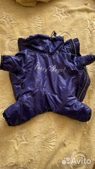 Одежда для собак