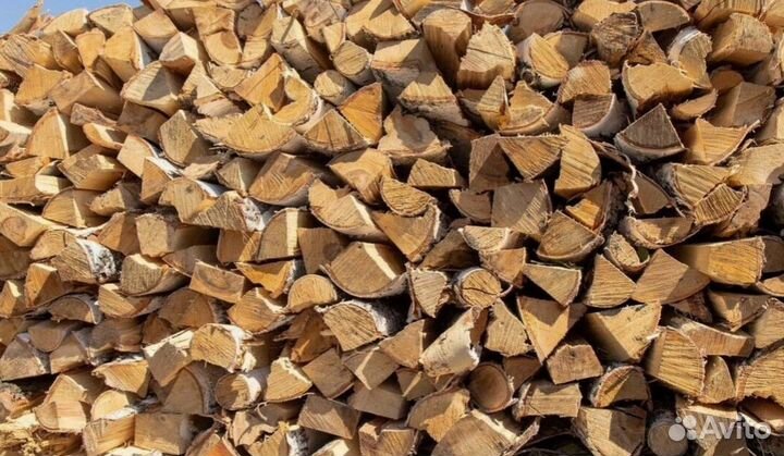 Дрова свежие
