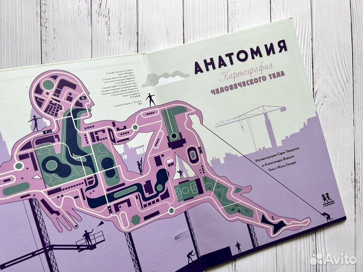 Анатомия. Картография человеческого тела