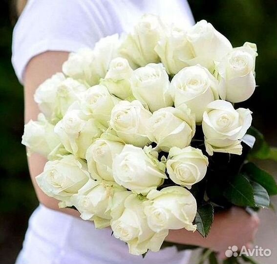 51 Роза, Букеты Цветы Розы 25 101 501 1001