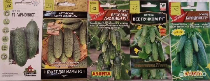 Семена огурцов