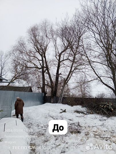 Демонтаж,Спил деревьев.Облагораживание территории