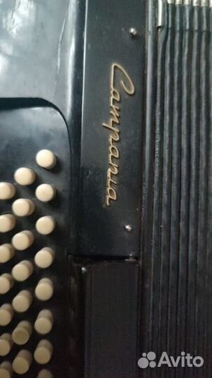 Аккордеон royal standard
