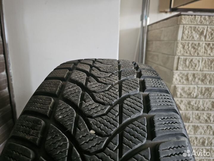 Delinte Winter WD1 215/55 R17 94T