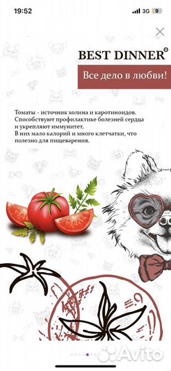 Корм для собак Best dinner