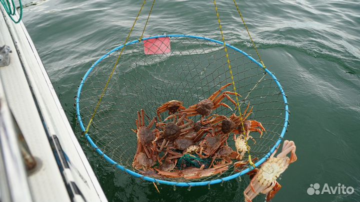 Крабовое сафари на быстроходных катерах