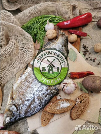 Рыба северная Язь Щука Щекур Мохтик Лещ Сырок