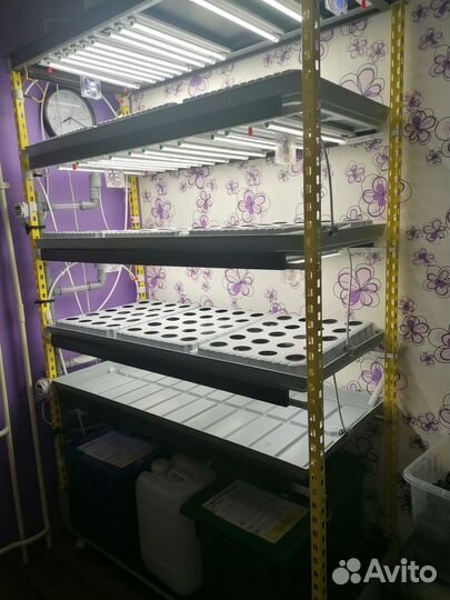 Гидропонная установка