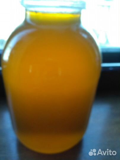 Продаю целебный мёд 2023 года со своей пасеки