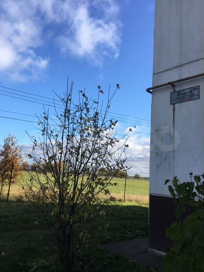 Свободного назначения, 20 м²