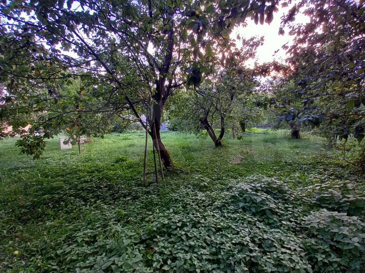 Дом 50 м² на участке 60 сот.