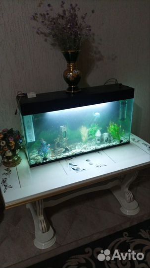 Аквариум с рыбками