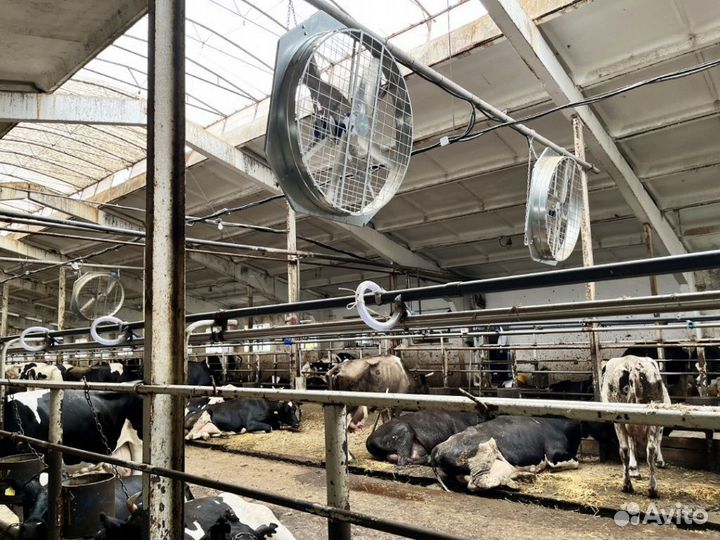 Вентилятор разгонный вытяжной / Вытяжная шахта