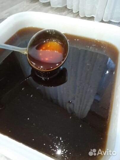 Мед с Алтая