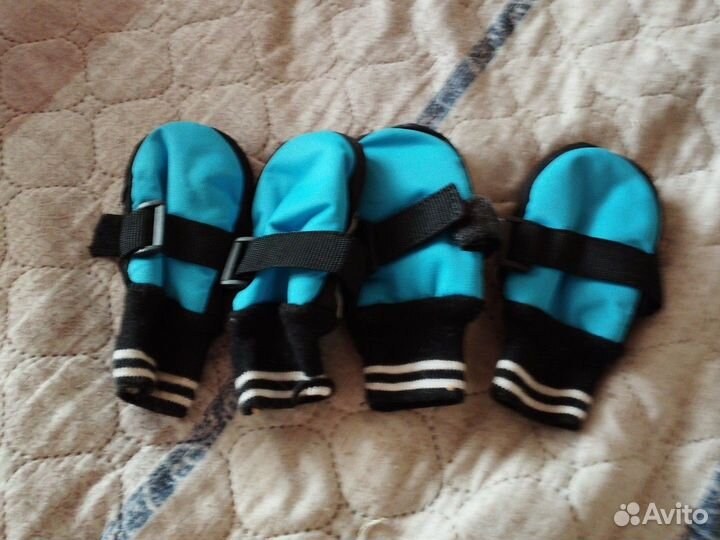 Обувь для собак