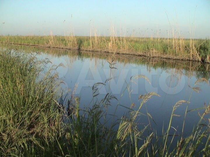 Дом 45 м² на участке 12 сот.