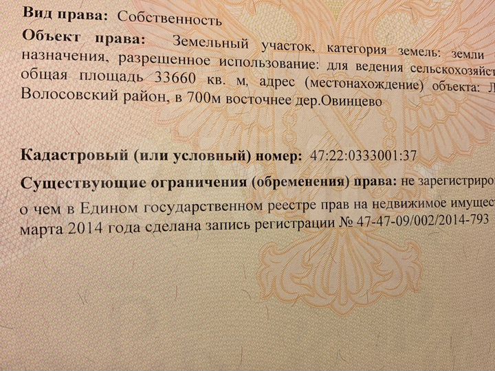 Участок 3,37 га (СНТ, ДНП)