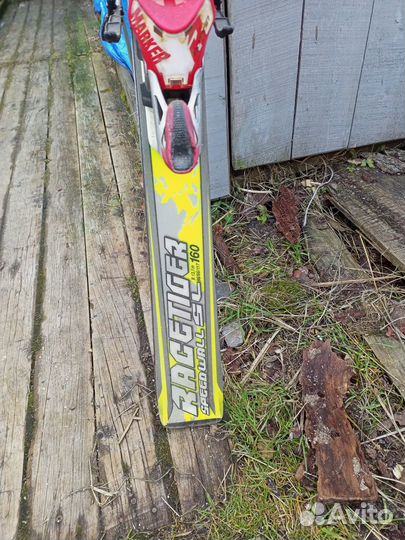 Горные лыжи