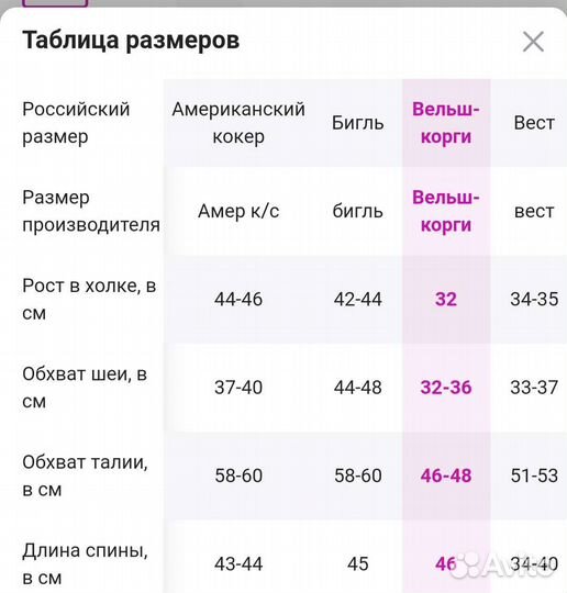 Комбинезон для средней собаки