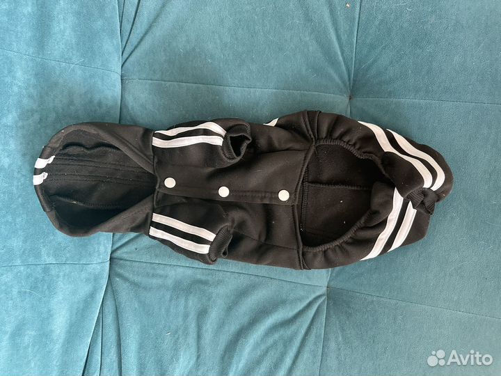 Одежда для маленьких собак