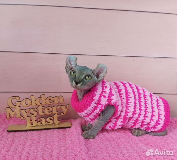 Сфинкс Эльф