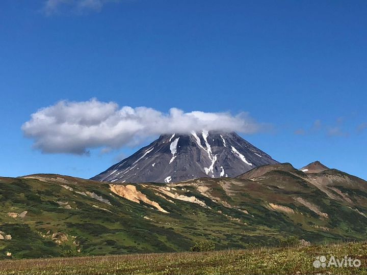 Горящий тур на Камчатку в августе Включно все