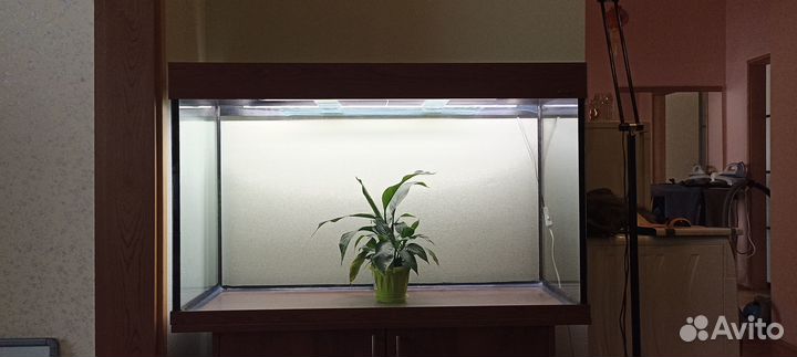 Аквариум на 200 литров