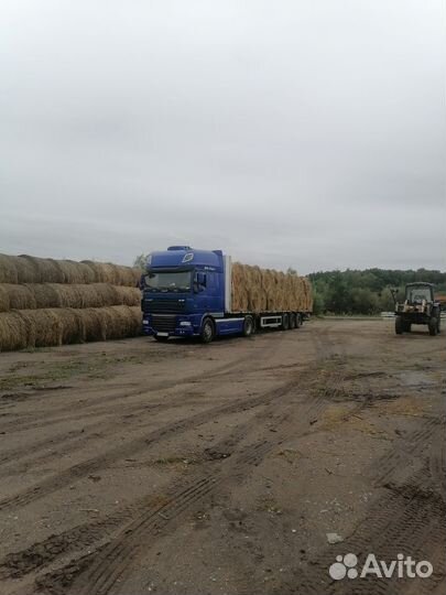 Продам сено в рулонах