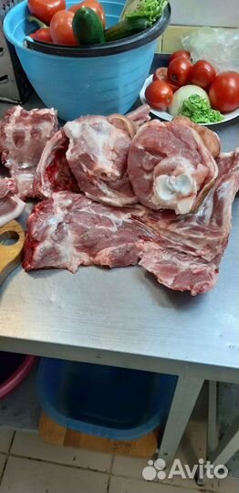 Мясо свинина свежее