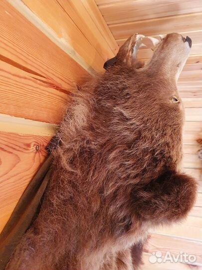 Шкура медведя имитация