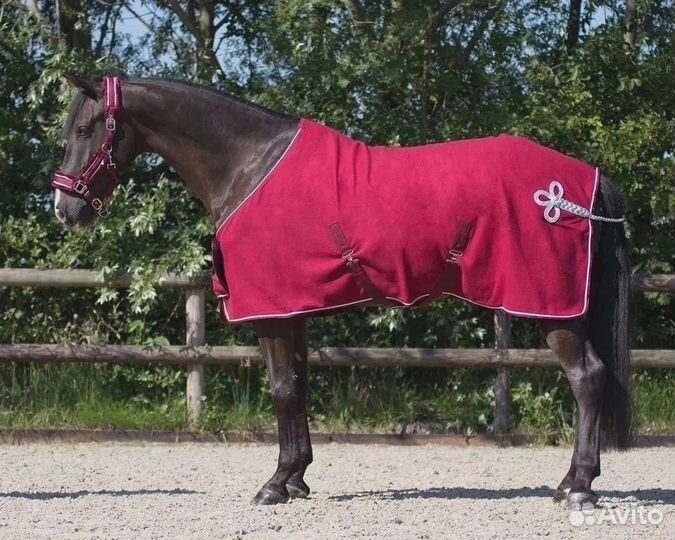 Конная амуниция