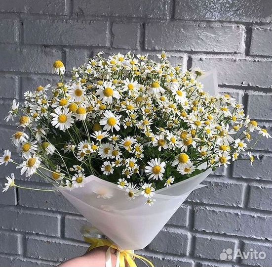 Букеты. Доставка ромашек