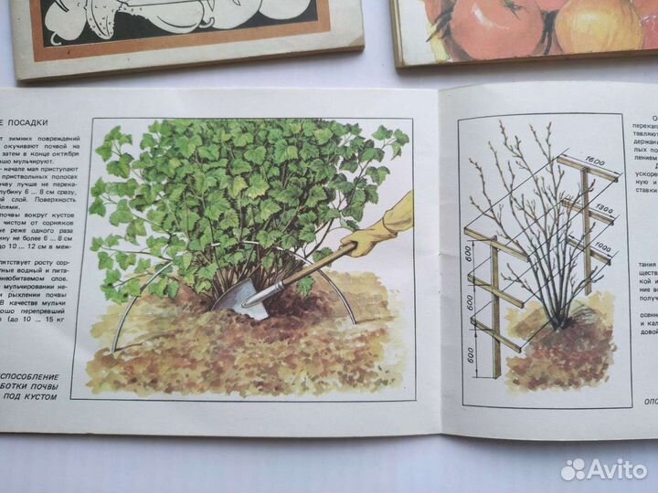 Три книги для Садоводов цена за Все