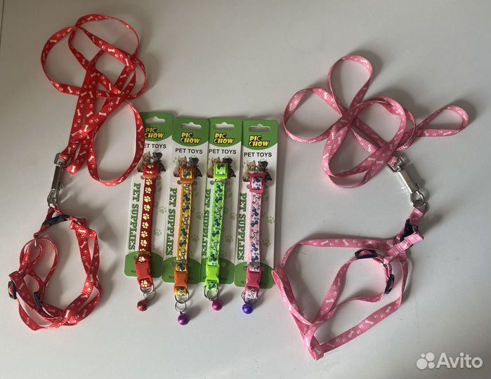 Шлейка, поводок, ошейник