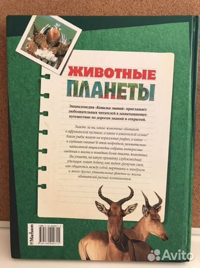 Энциклопедия для детей животные планеты