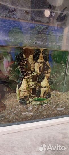 Аквариум