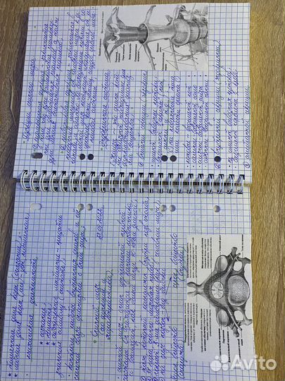 Конспекты по биологии