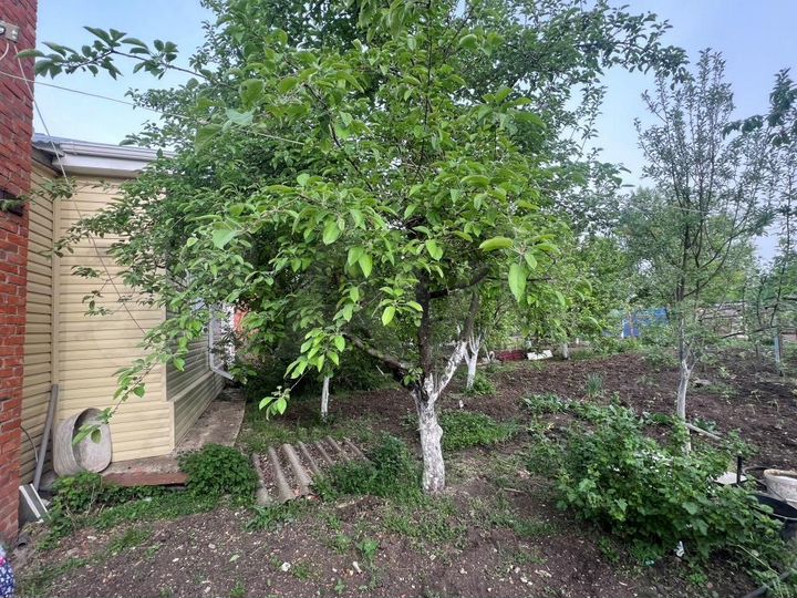 4-к. квартира, 61,1 м², 1/1 эт.