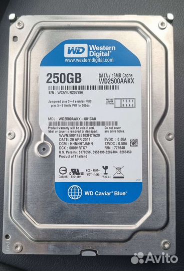 Жесткий диск WD Carnival Blue 250 GB