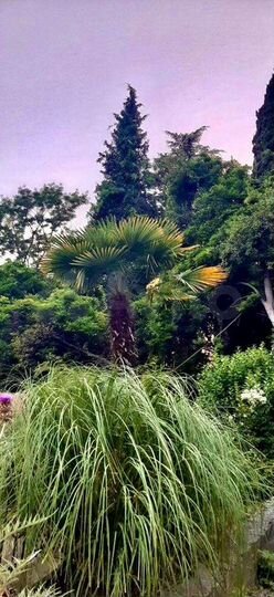 Дом 150 м² на участке 5 сот.