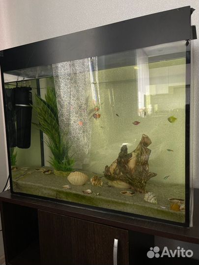 Аквариум 100 л с рыбками и с тумбой