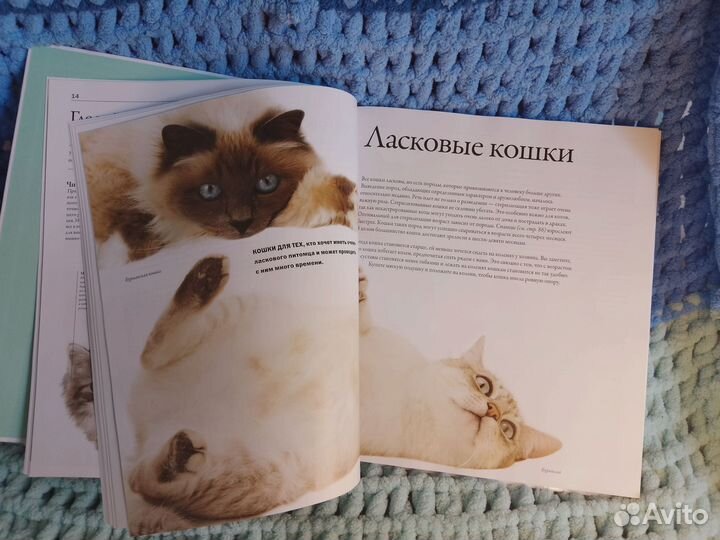 Книга о кошках 